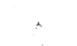 gravity check (AUTO SHIFT)