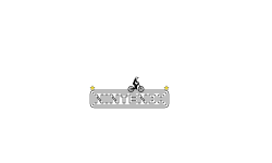 Nintendo