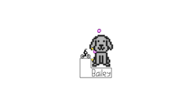 My Dog Baily