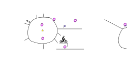 Bouncy Things