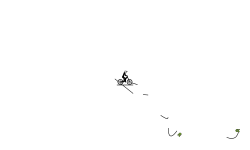 Auto Free Fall