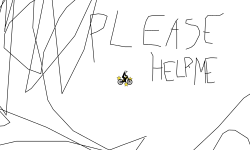 please help (3)