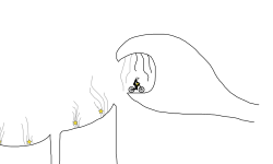 jungle cliathules