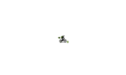 Sp1nny Auto