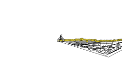 lines