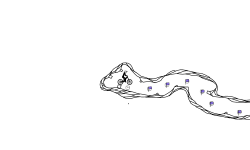 ELEPHEZI