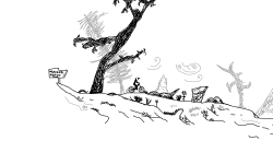 Lost in the forest