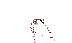 megacaca4