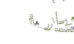 auto-level