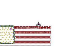 American Flag