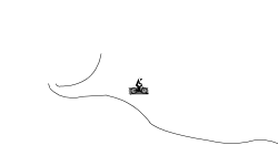 DON'T MOVE