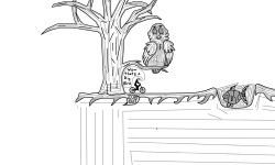 animal run