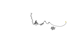 collab with solomonster