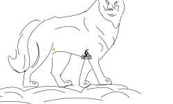 The wolf