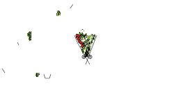 Fast paced auto