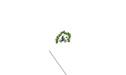 loops