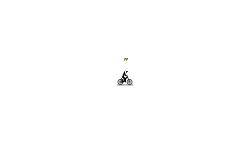 Long Drop(s) Auto