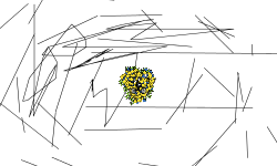 dmjtydmy