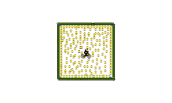 THE SQUARE