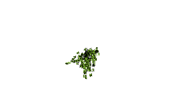 My first good track