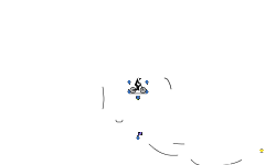 a random auto