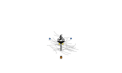 Spider araña