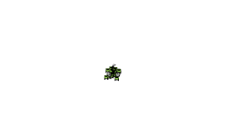 My 2nd Auto Level