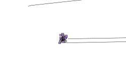 this is quinnscherbert