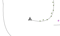 loop run