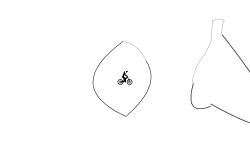 Fruits