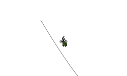 New Vehicle