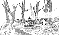 Short Woods Trail