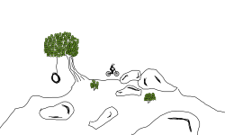 The Grassy Hill