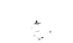 dumb auto