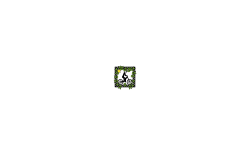 Srry no tracks (DESC)