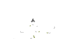 15 second auto challenge