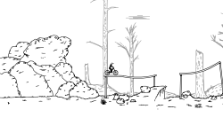 Forest Trail