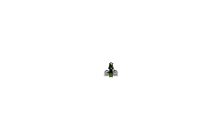 Not Alone