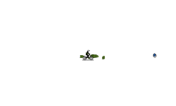gravity track