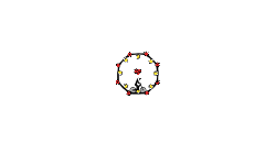 Octagon