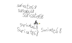 suricate68