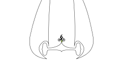 Energy Sword (Drawing)