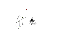 random bmx