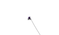 blob