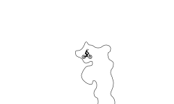 Curved lines only auto