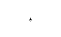 animation 2