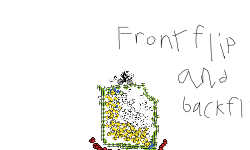 Frontflip and Backflip level