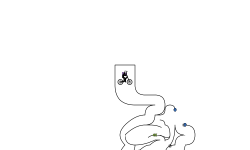 Blob auto! (Fixed) w/ looping