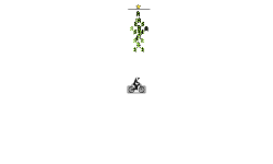 Beheader glitch