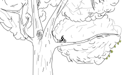 the tree